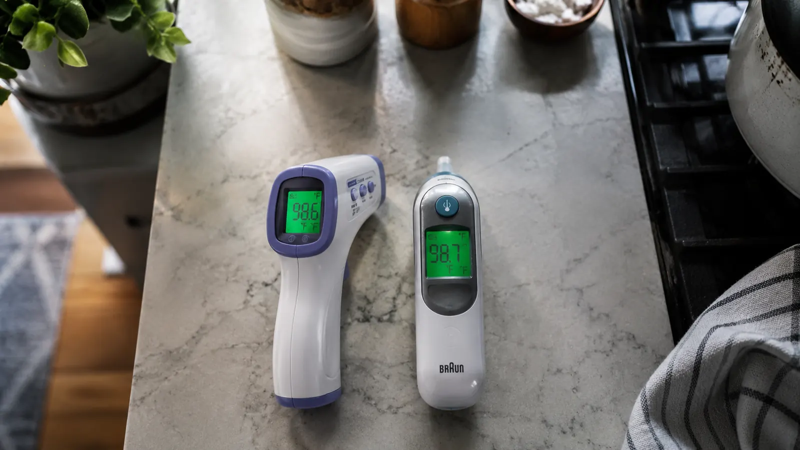 TempPro Dual Probe vs. Instant Read Thermometer: Which to Buy